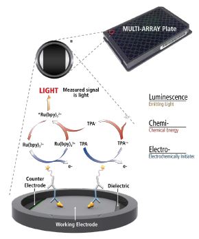 Electrochemiluminescence Technology